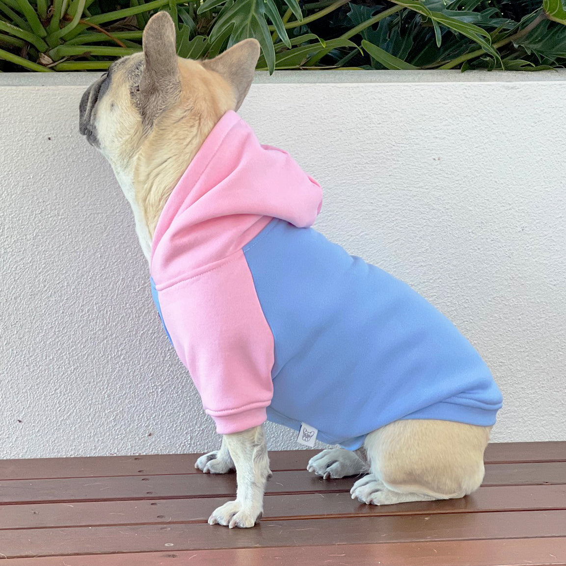 Blush & Breeze Dog Hoodie/Dog Skivvy