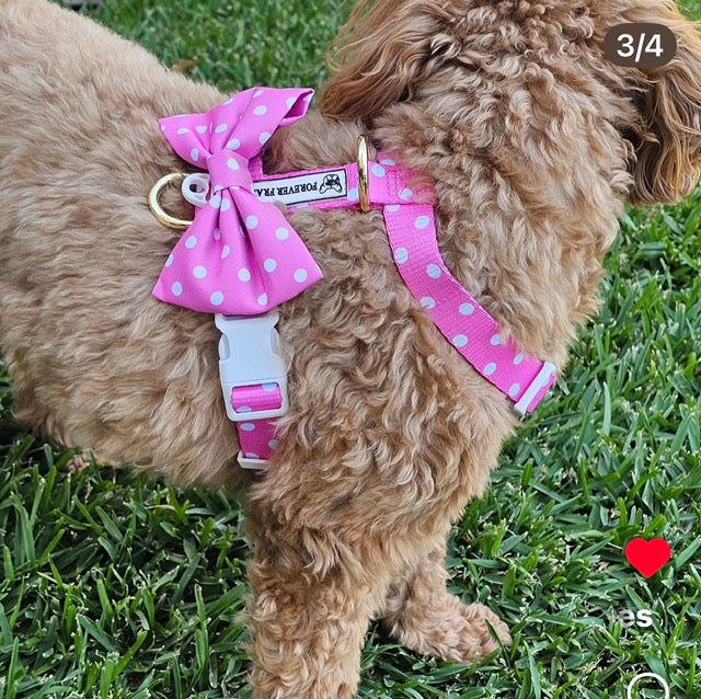Pink Polka Dot - Luxe Strap Harness