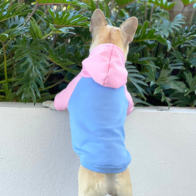 Blush & Breeze Dog Hoodie/Dog Skivvy
