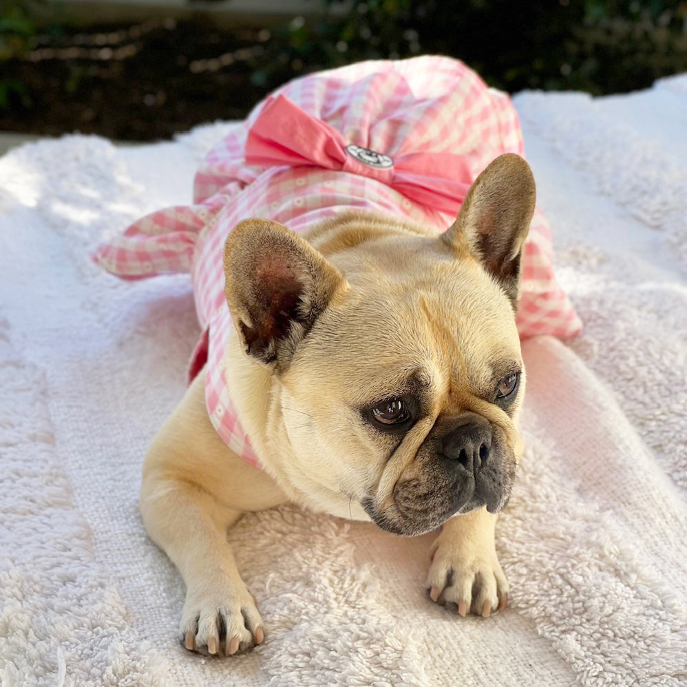 Pink Gingham Ruffles (with Pink bow) Dog Dress (Limited Edition)