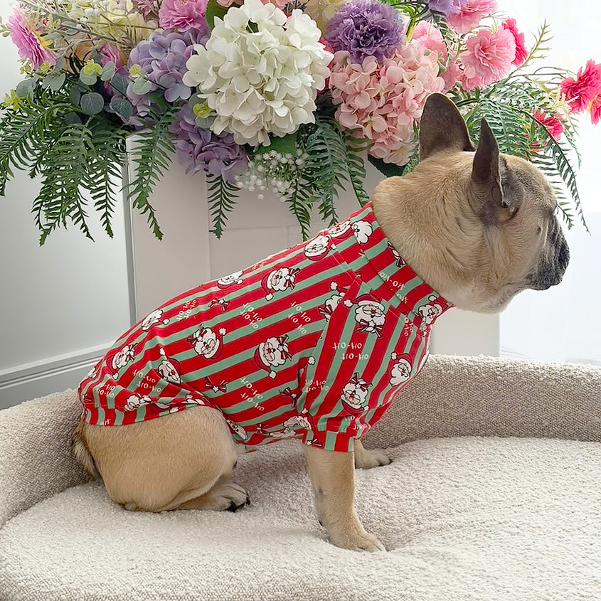 Ho Ho Ho Skivvy - Christmas Dog Skivvy (Limited Edition)
