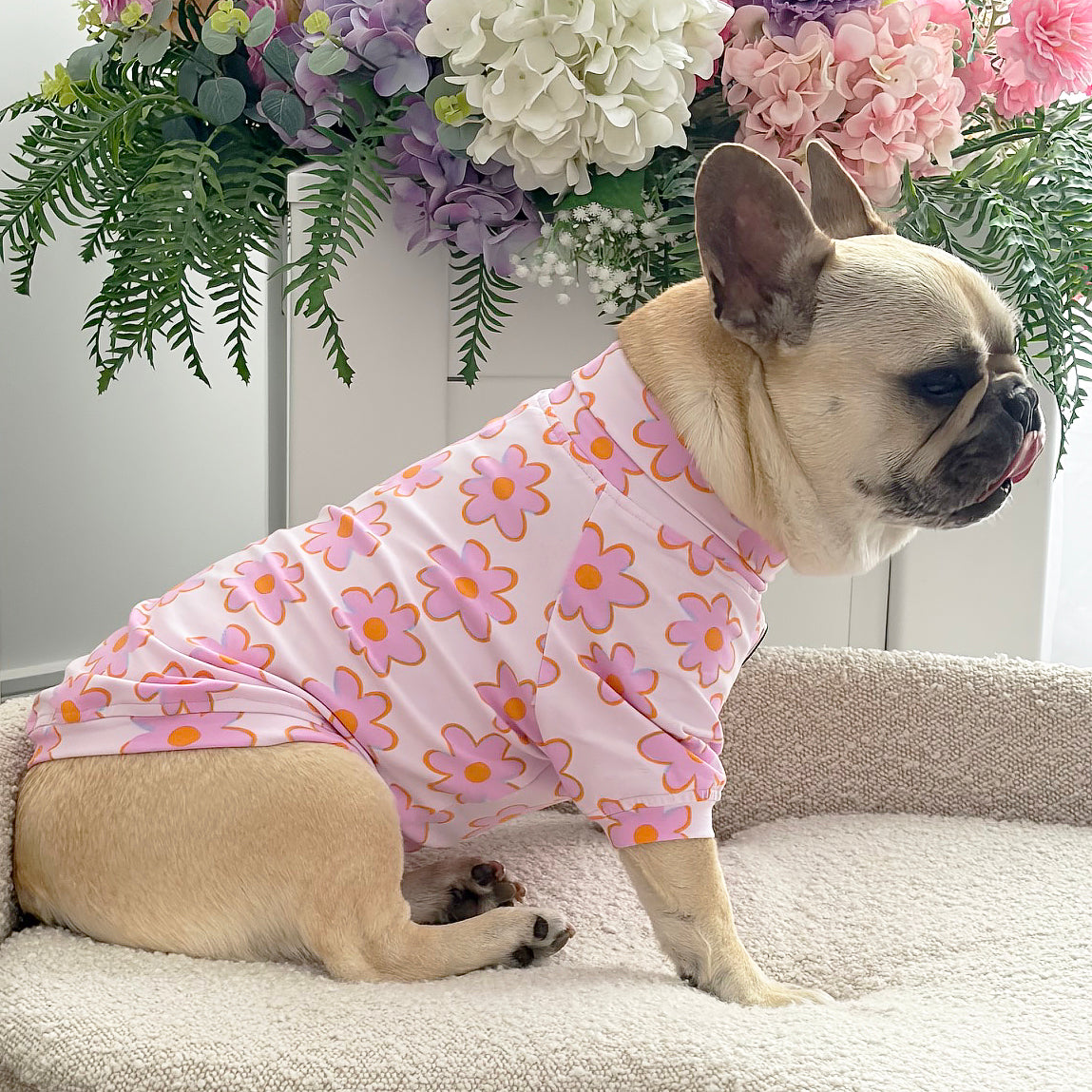 Daisy Pop Skivvy - Dog Skivvy