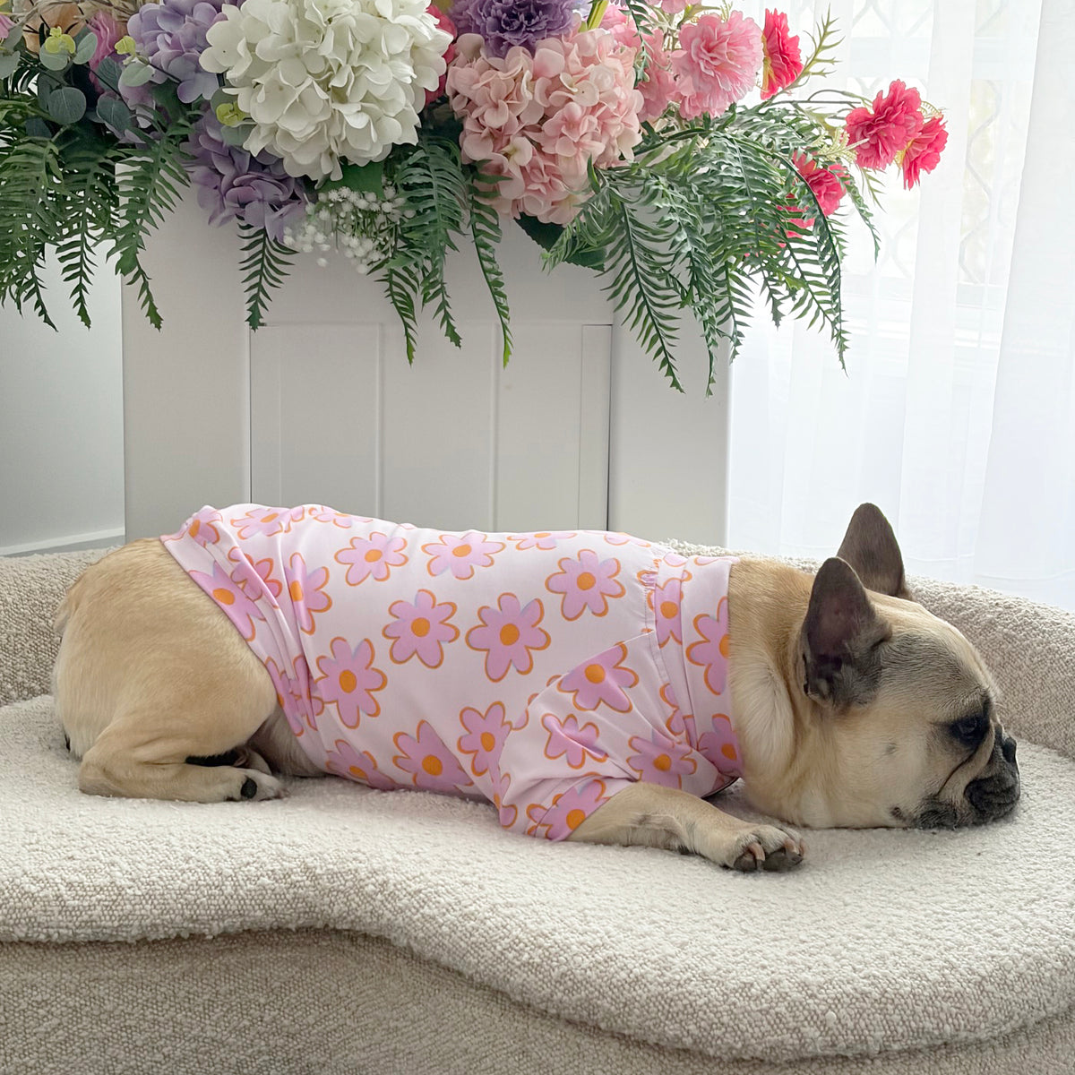 Daisy Pop Skivvy - Dog Skivvy