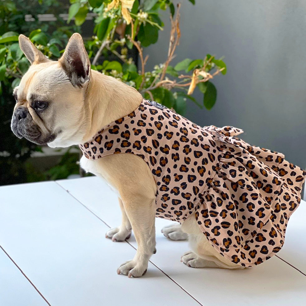 Born to be Wild with Ruffles (with bow) Dog Dress (Limited Edition)
