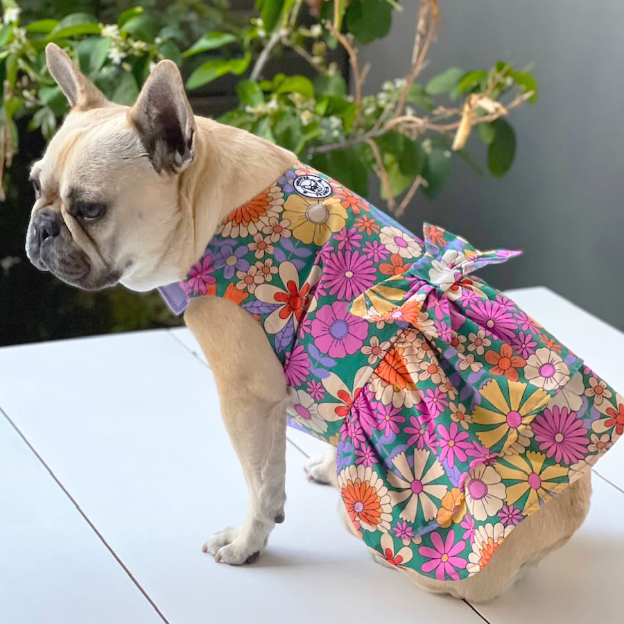 Floral Princess Ruffles (with floral bow) Dog Dress -End of line!