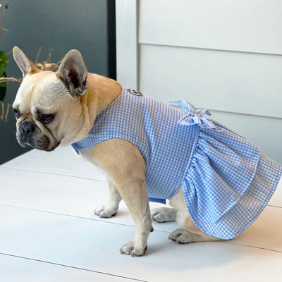 Blue Gingham with Ruffles (with bow) Dog Dress (Limited Edition)