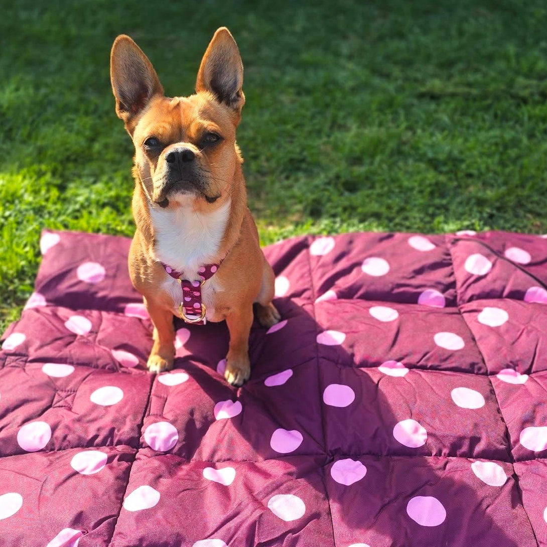 Dotted Bliss - Adventure Mat