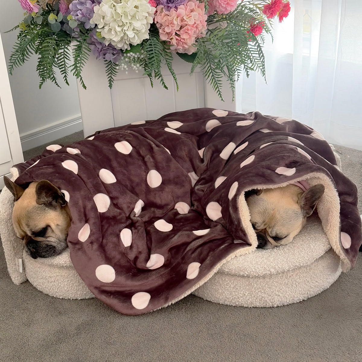 Dotted Coco - Extra Soft Pet Blanket