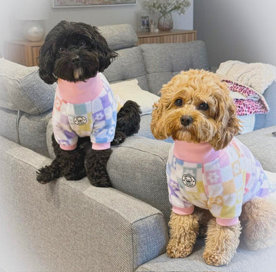 Pastel Check Dog Skivvy