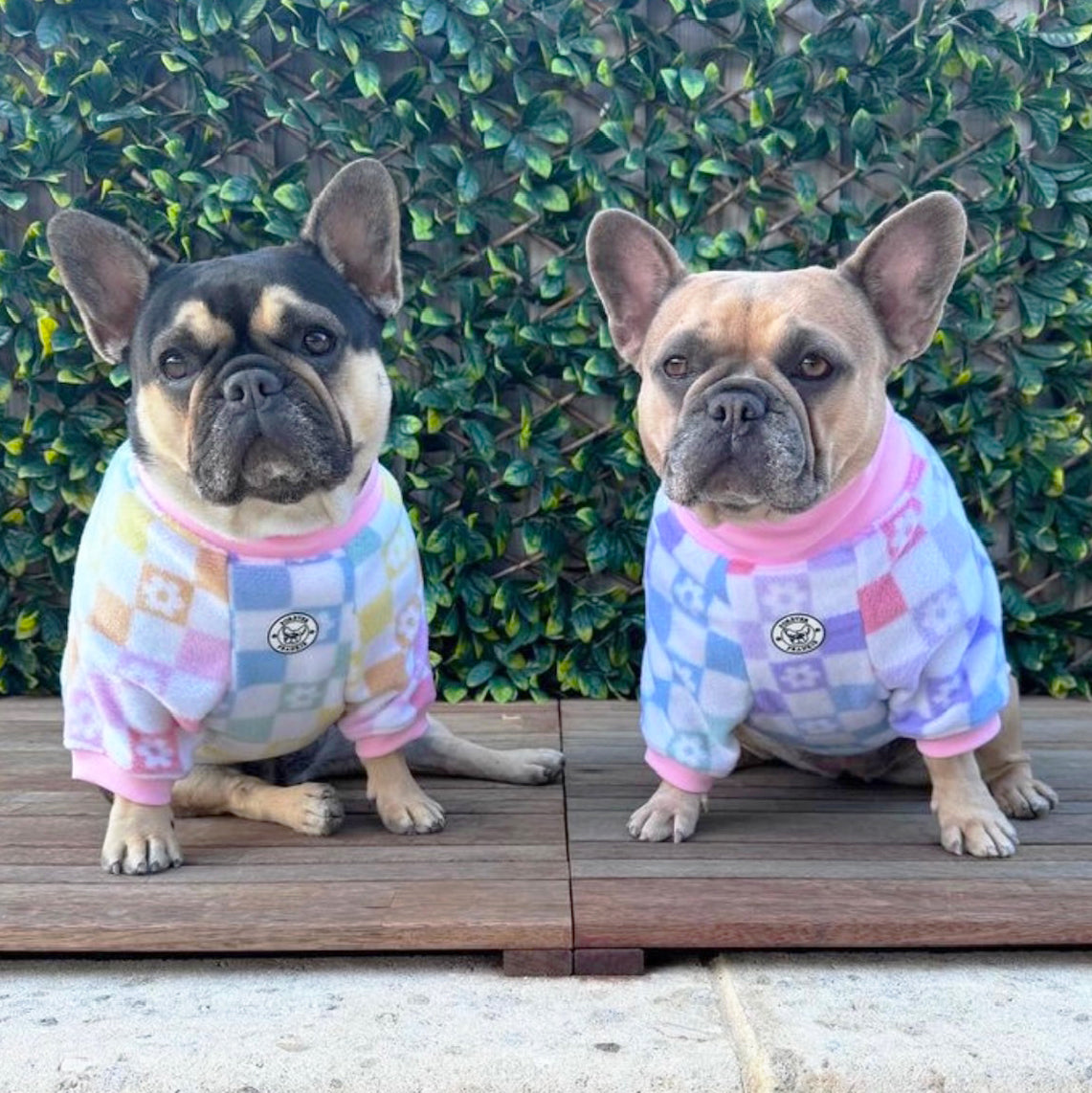 Pastel Check Dog Skivvy