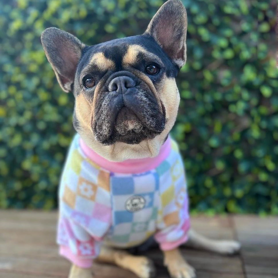 Pastel Check Dog Skivvy