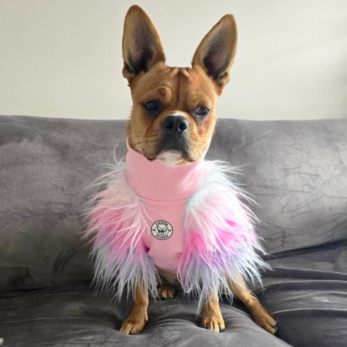 LUXE - Unicorn Rainbow- Dog Skivvie (Limited Edition)