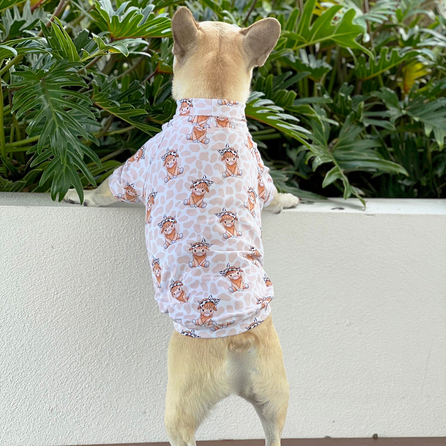 Luxe - Farmyard Fancy Dog Skivvy