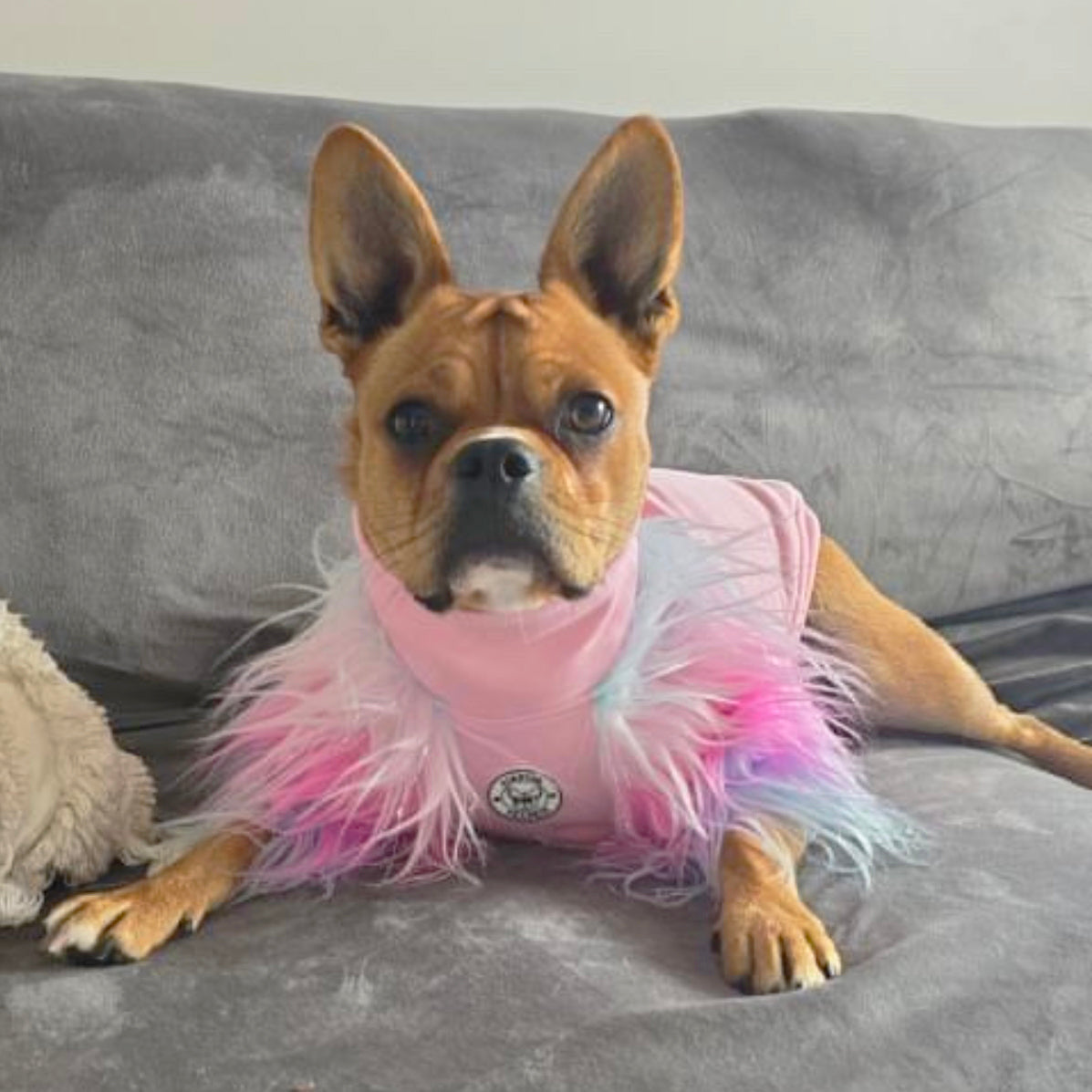 LUXE - Unicorn Rainbow- Dog Skivvie (Limited Edition)