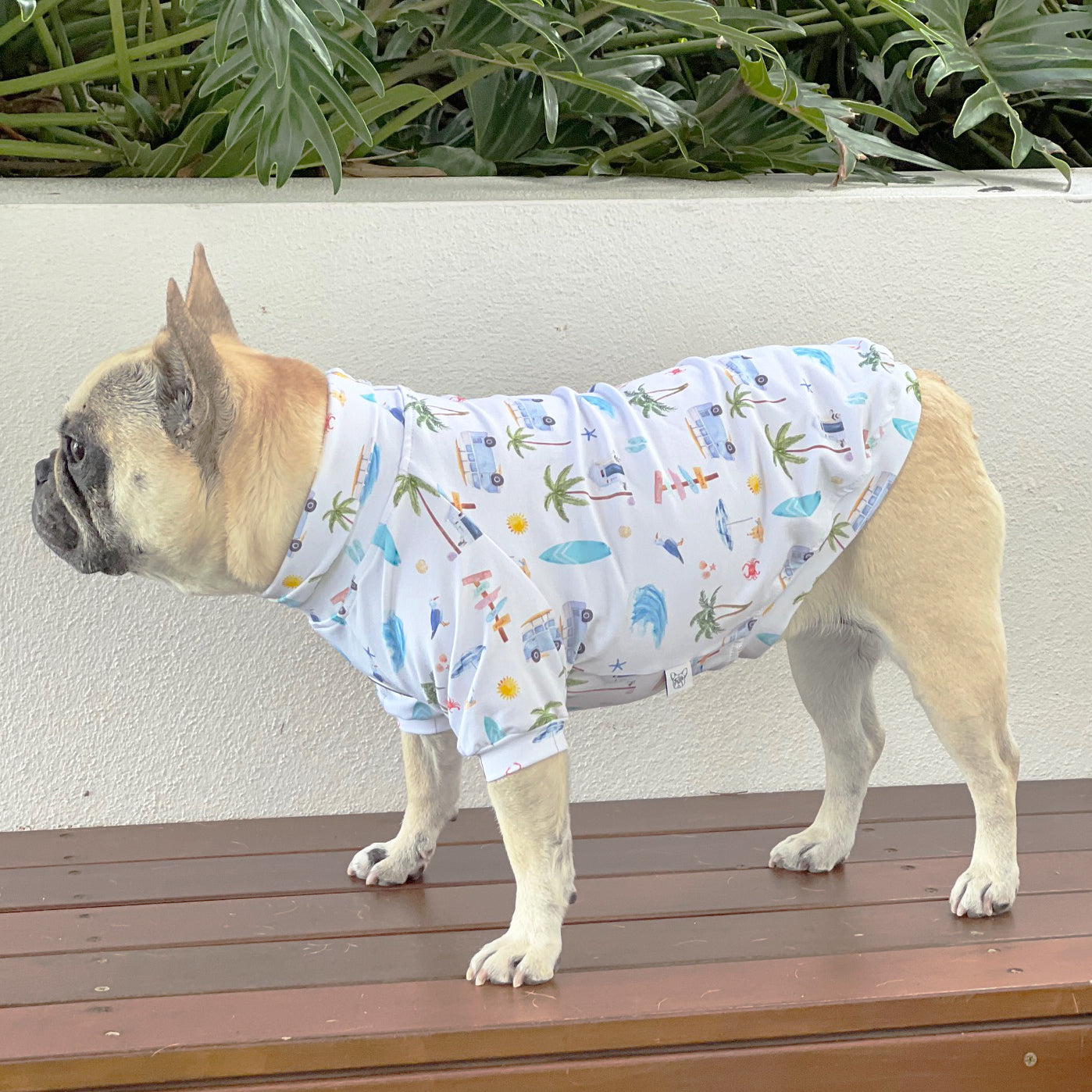 Luxe - Surf Pup Safari Dog Skivvy