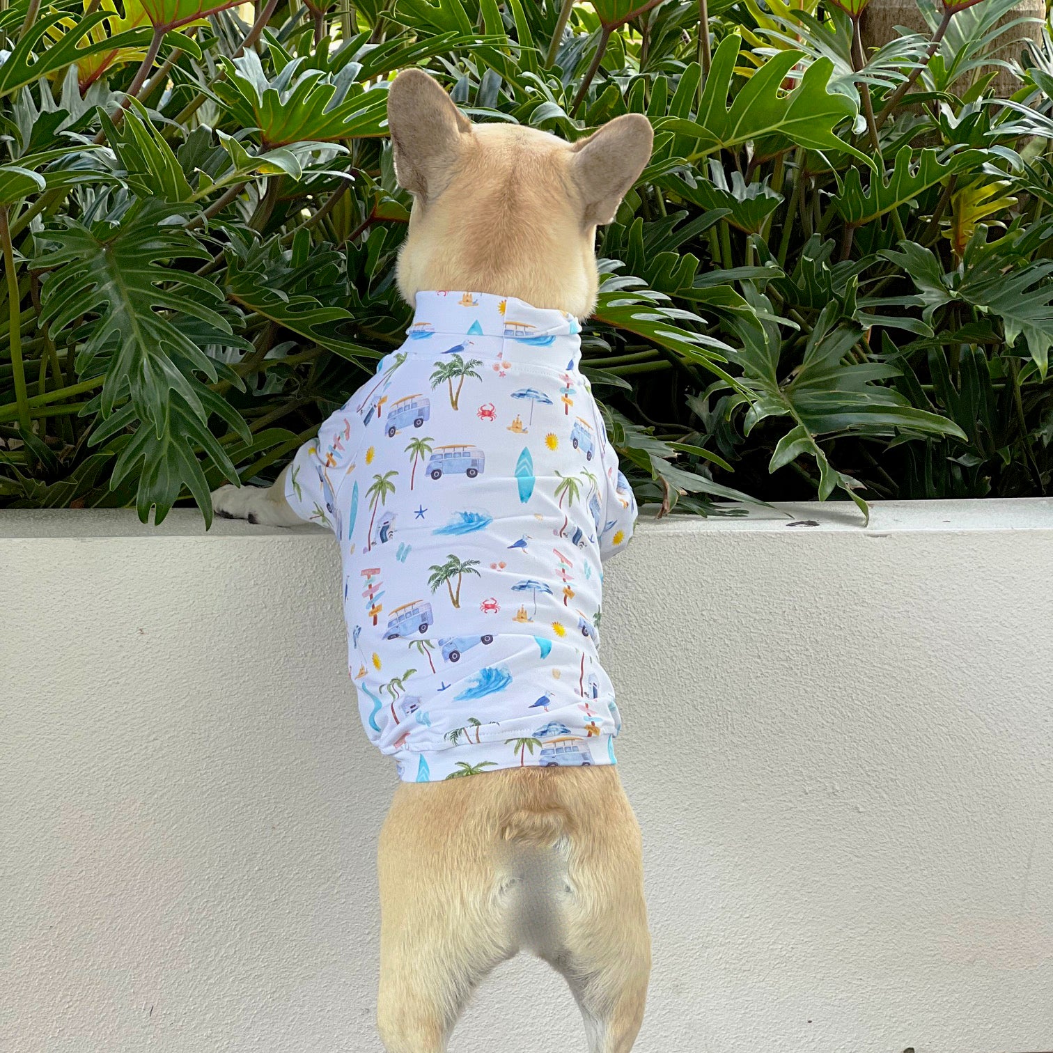 Luxe - Surf Pup Safari Dog Skivvy