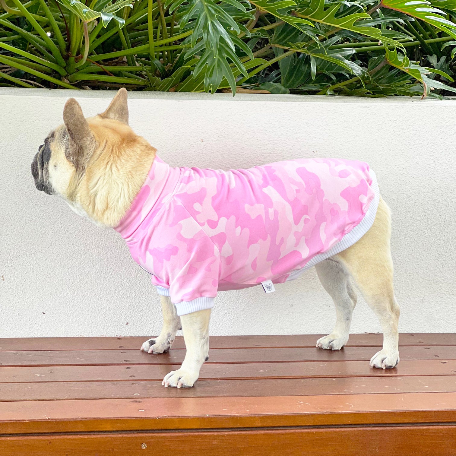 Luxe - Combat Cuddles Dog Skivvy