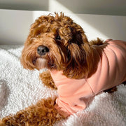 Mandarin  Dog Skivvy