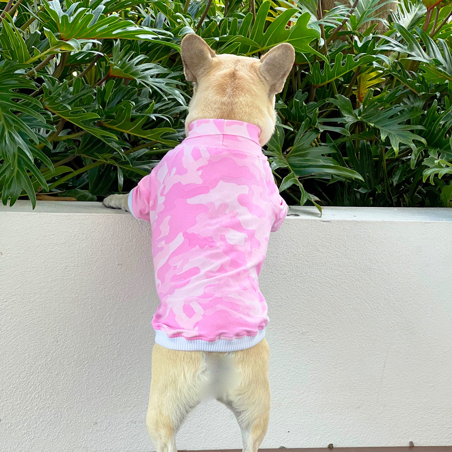 Luxe - Combat Cuddles Dog Skivvy