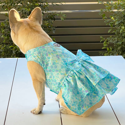 Little Miss Mermaid Dog Dress (Limited Edition)