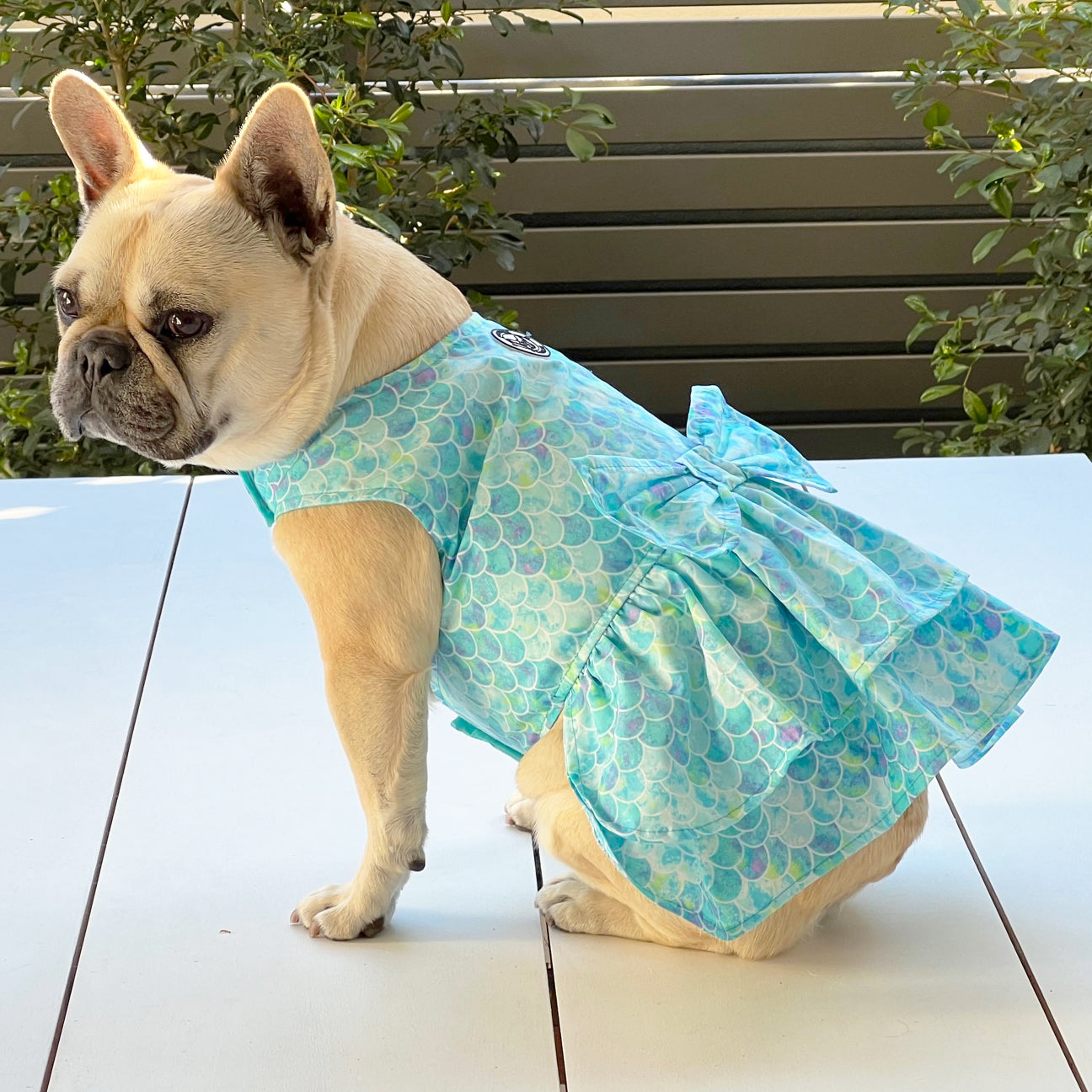Little Miss Mermaid Dog Dress (Limited Edition)