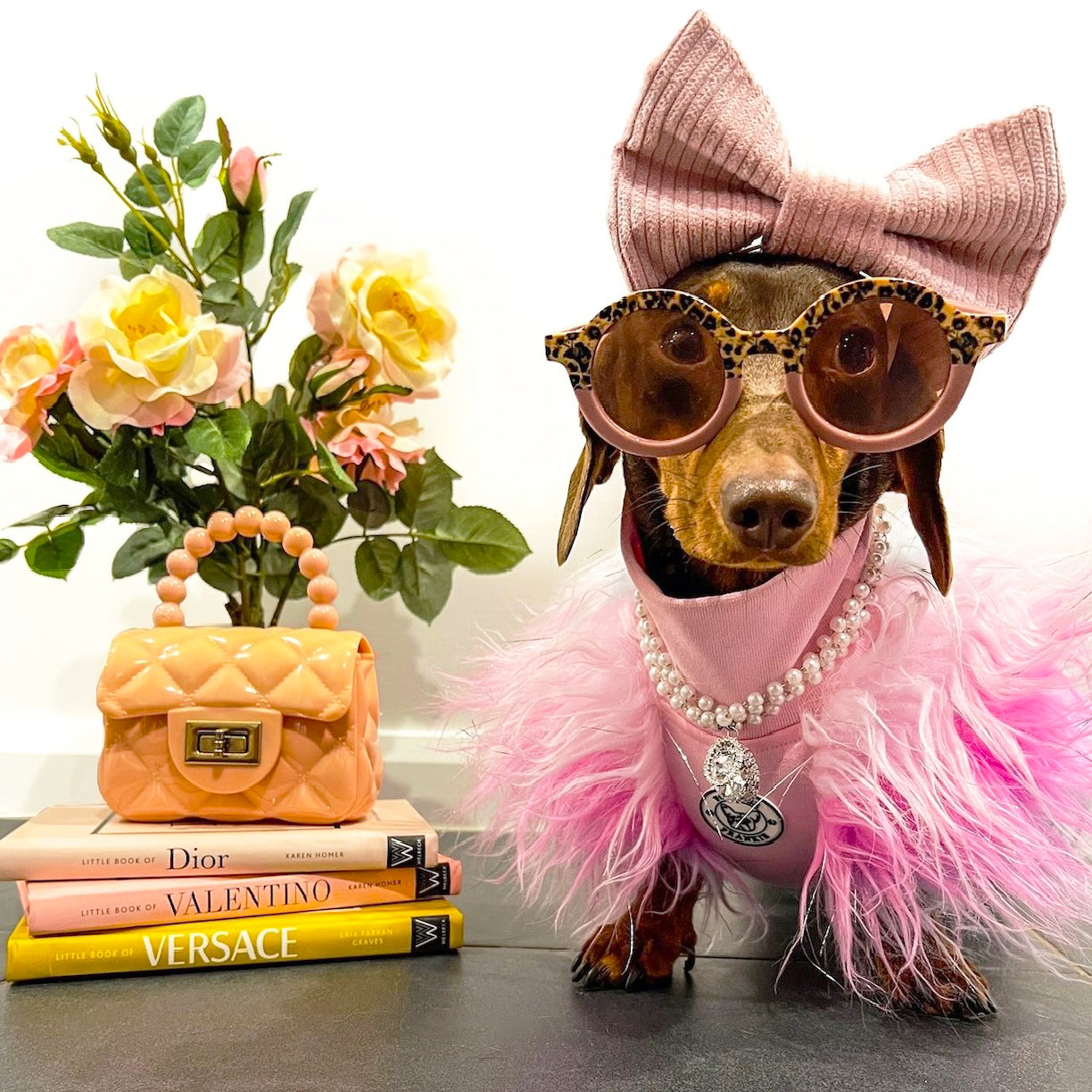 LUXE - Unicorn Rainbow- Dog Skivvie (Limited Edition)