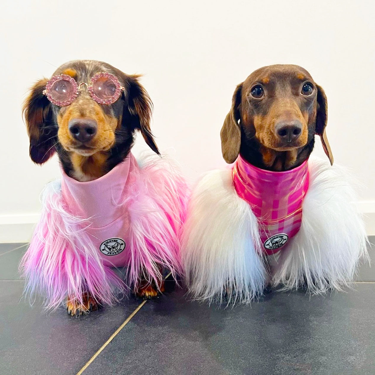 LUXE - Unicorn Rainbow- Dog Skivvie (Limited Edition)