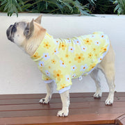 Luxe-Daisy's & Sunshine Dog Skivvy