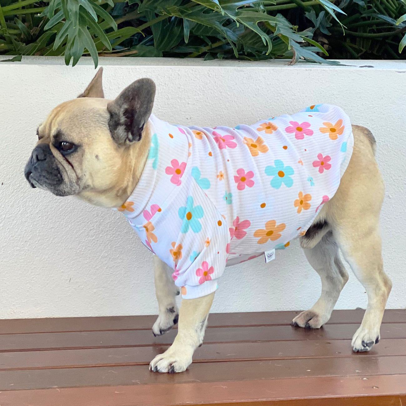 Luxe-Petal Pop Dog Skivvy