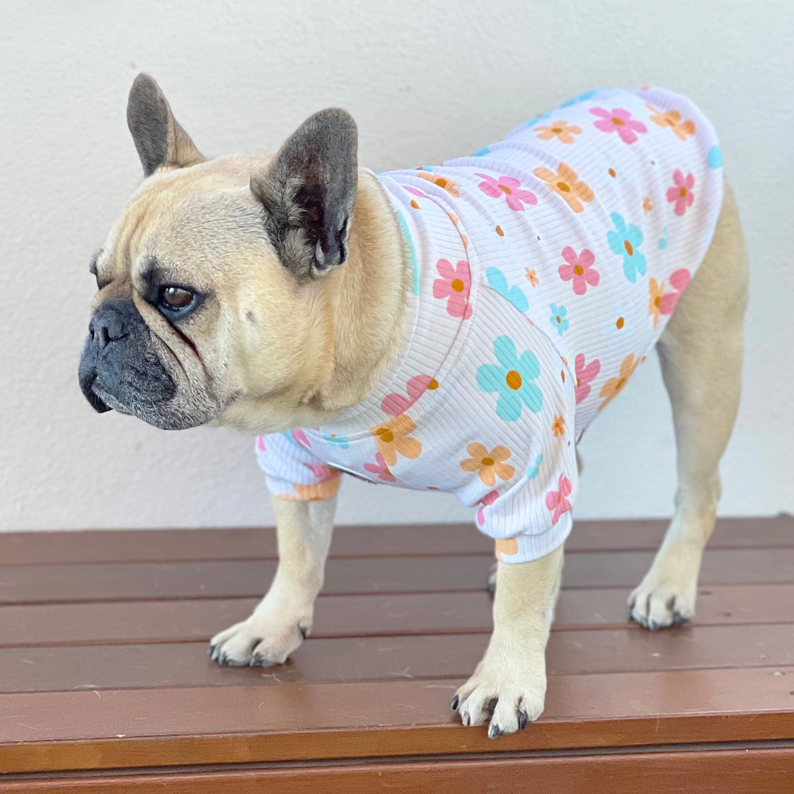 Luxe-Petal Pop Dog Skivvy