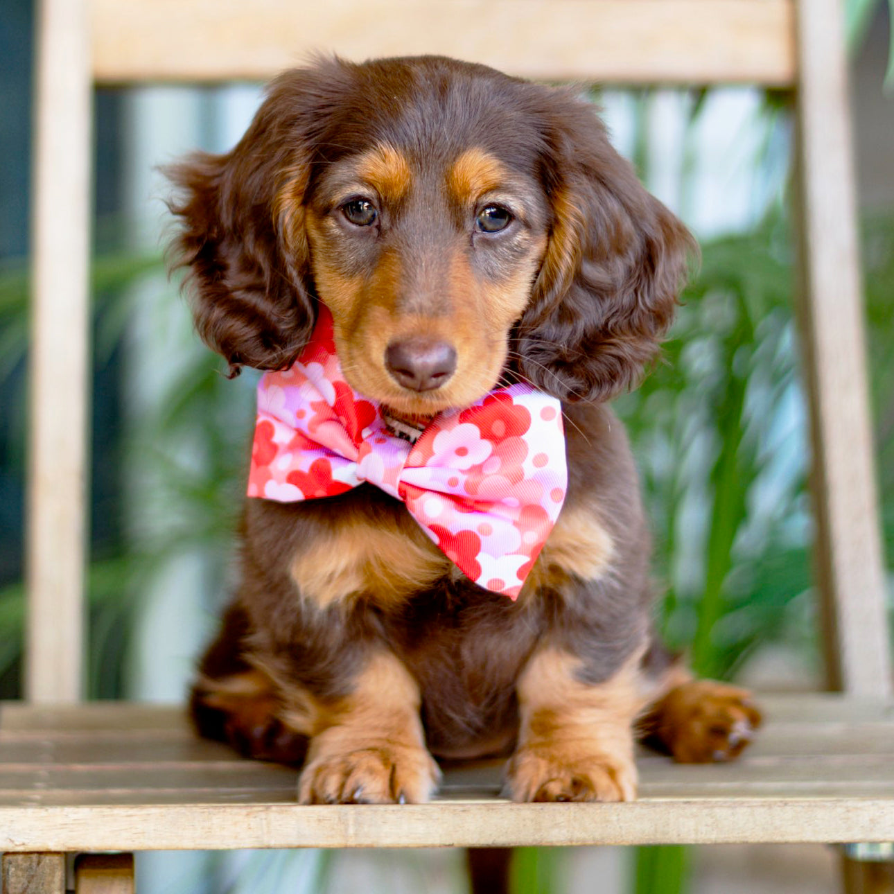 Sunset Bloom - Bow Tie