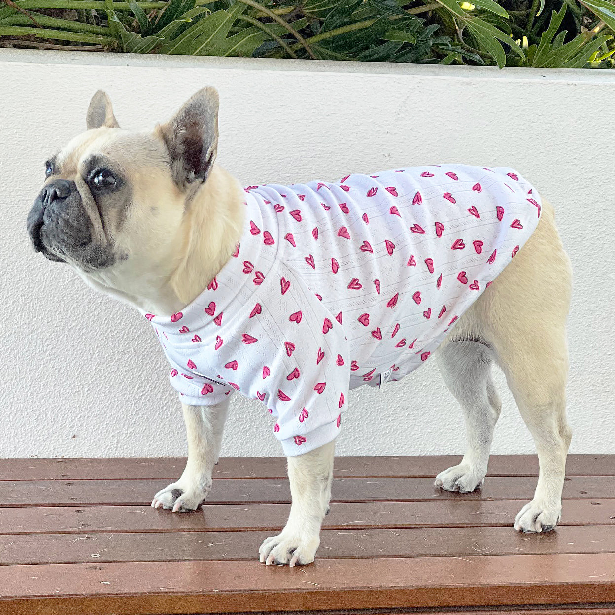 Puppy Love Dog Skivvy