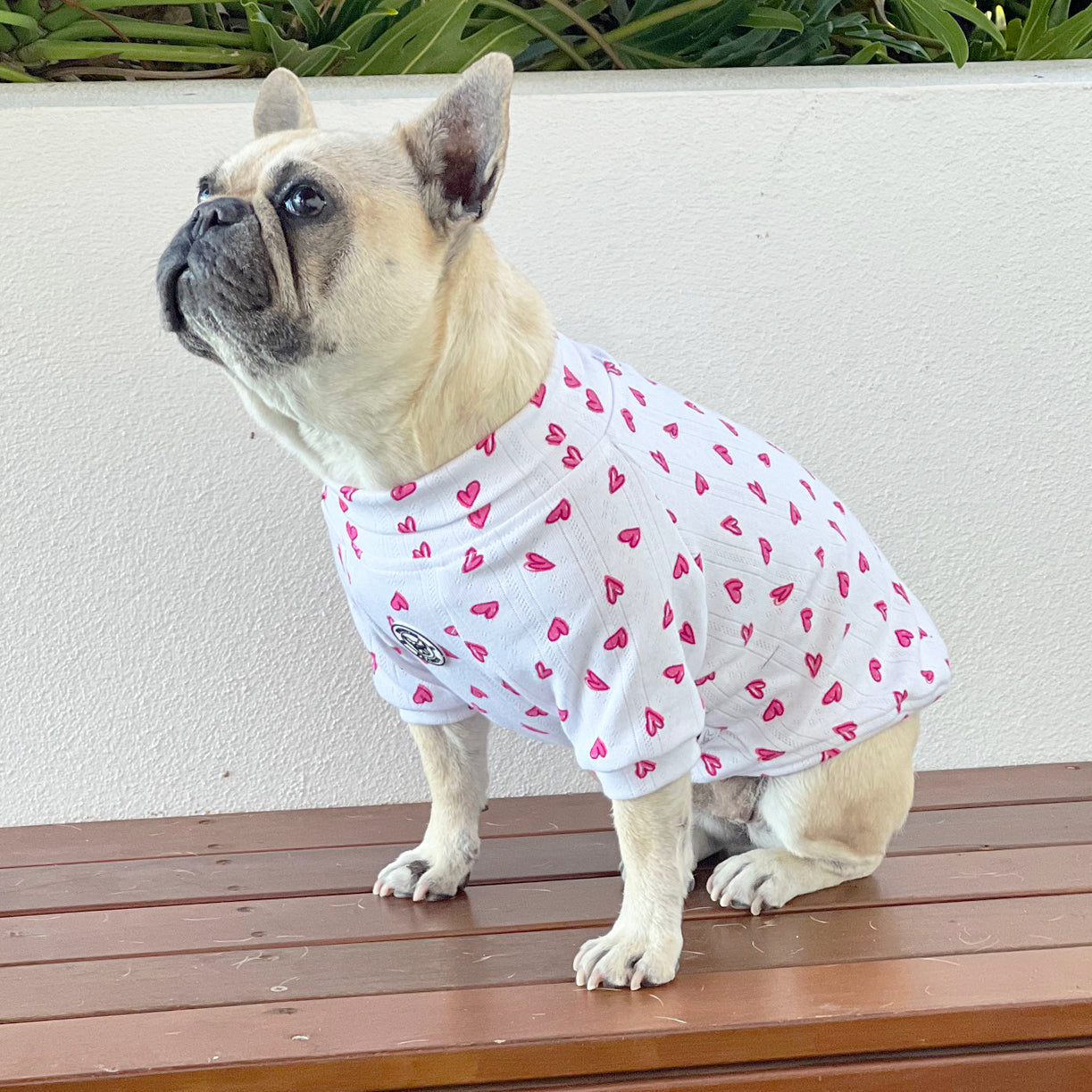 Puppy Love Dog Skivvy