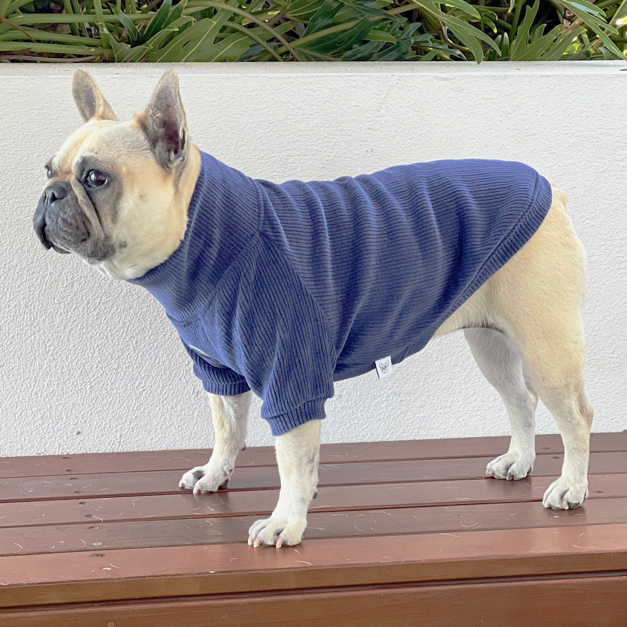 Indigo Drift Dog Skivvy