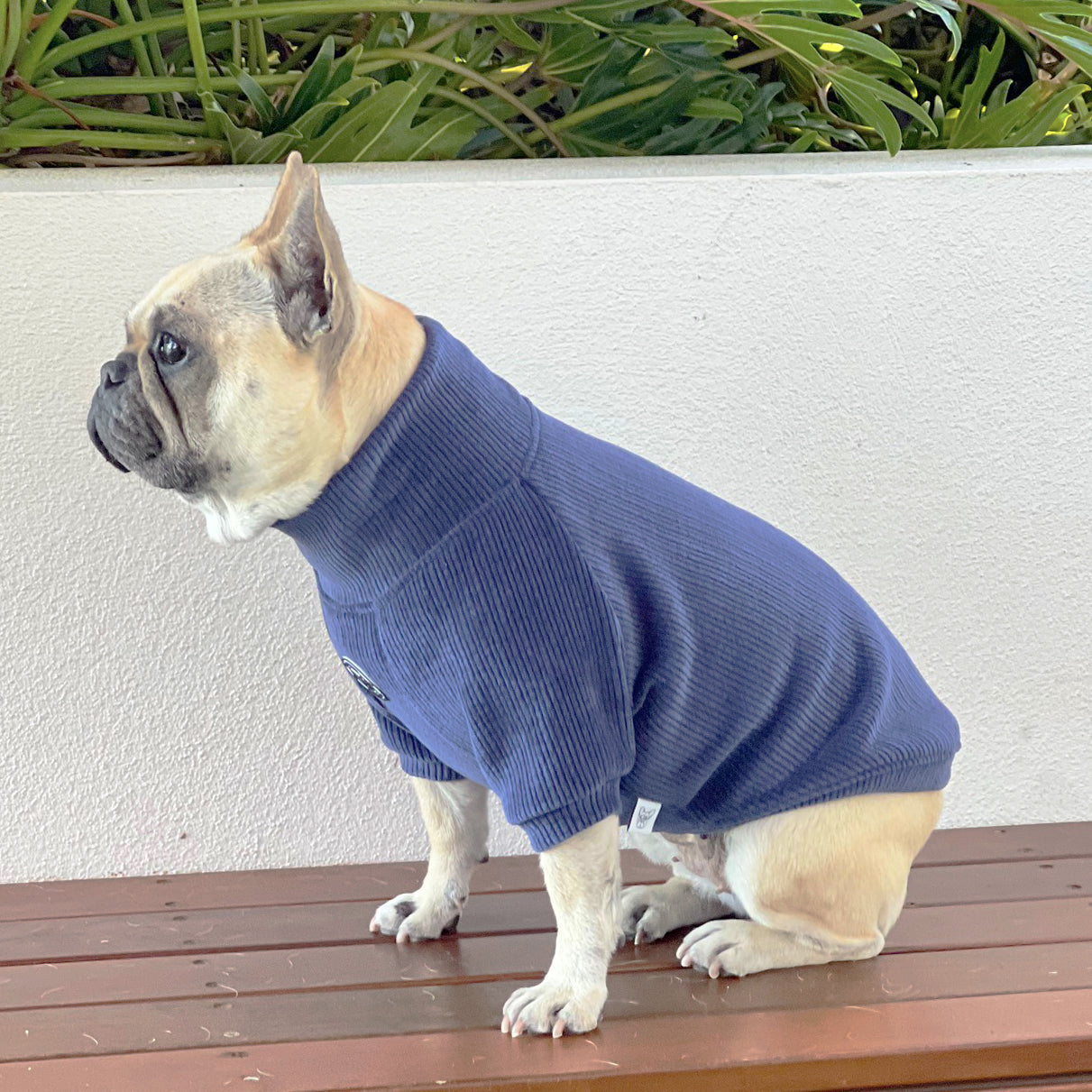 Indigo Drift Dog Skivvy