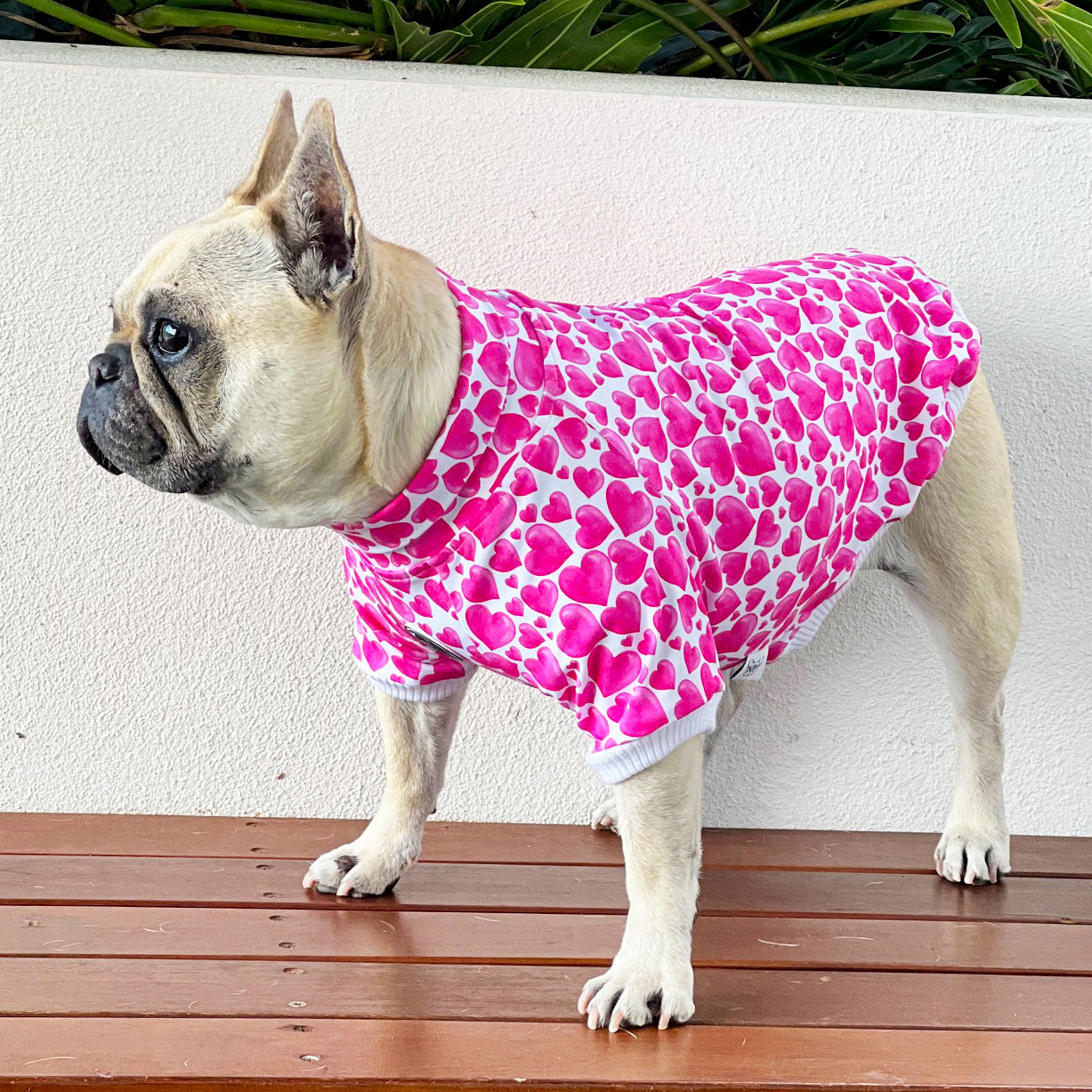 Sweethearts Dog Skivvy