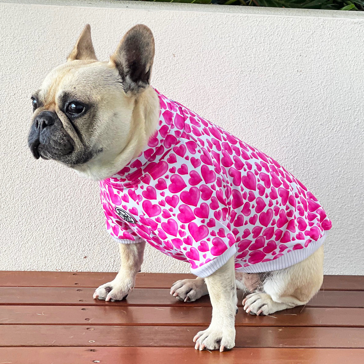 Sweethearts Dog Skivvy