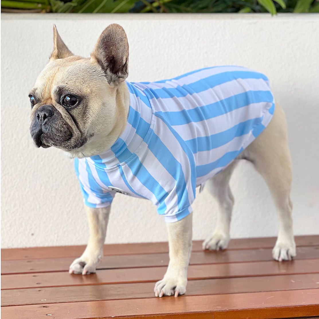 Candy Stripe blue & white  Dog Skivvy