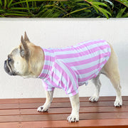 Candy Stripe pink & white  Dog Skivvy