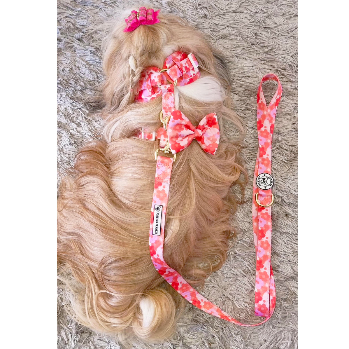 Sunset Bloom - Adjustable Harness