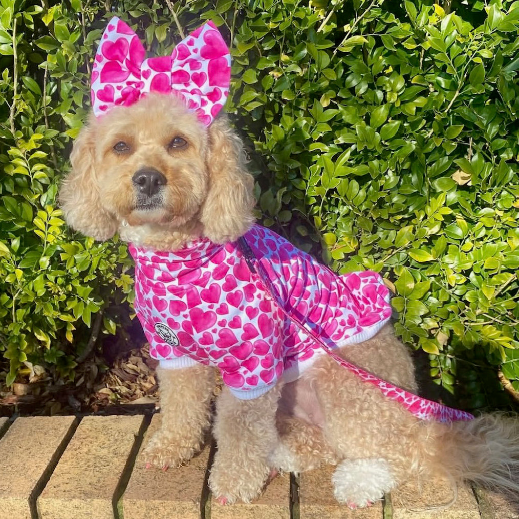 Sweethearts Dog Skivvy