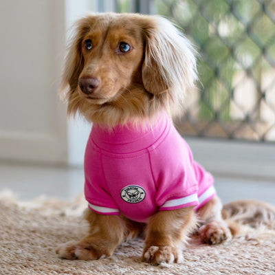 Hot Pink with striped ribbing Dog Skivvie