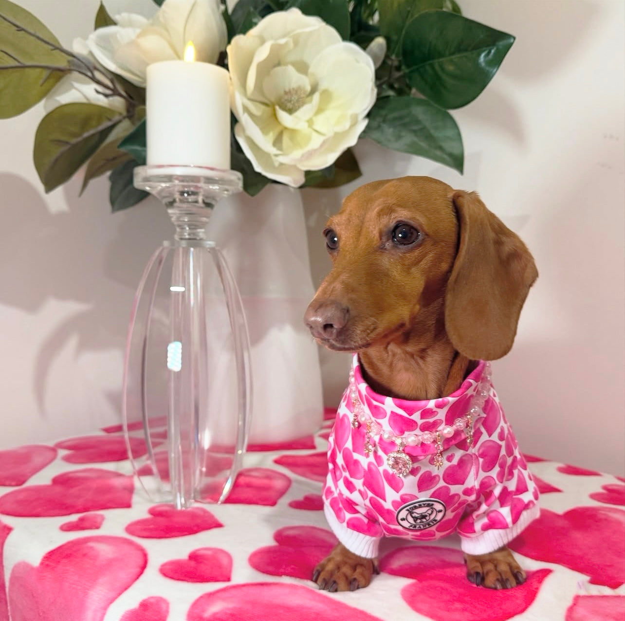 Sweethearts Dog Skivvy