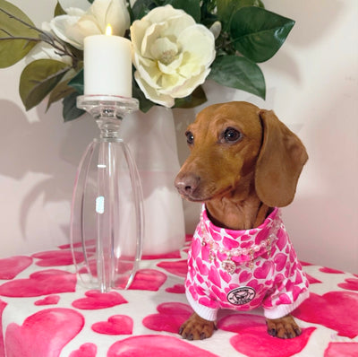 Sweethearts Dog Skivvy