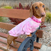 Luxe - Combat Cuddles Dog Skivvy