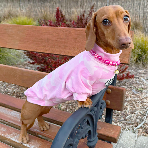 Luxe - Combat Cuddles Dog Skivvy