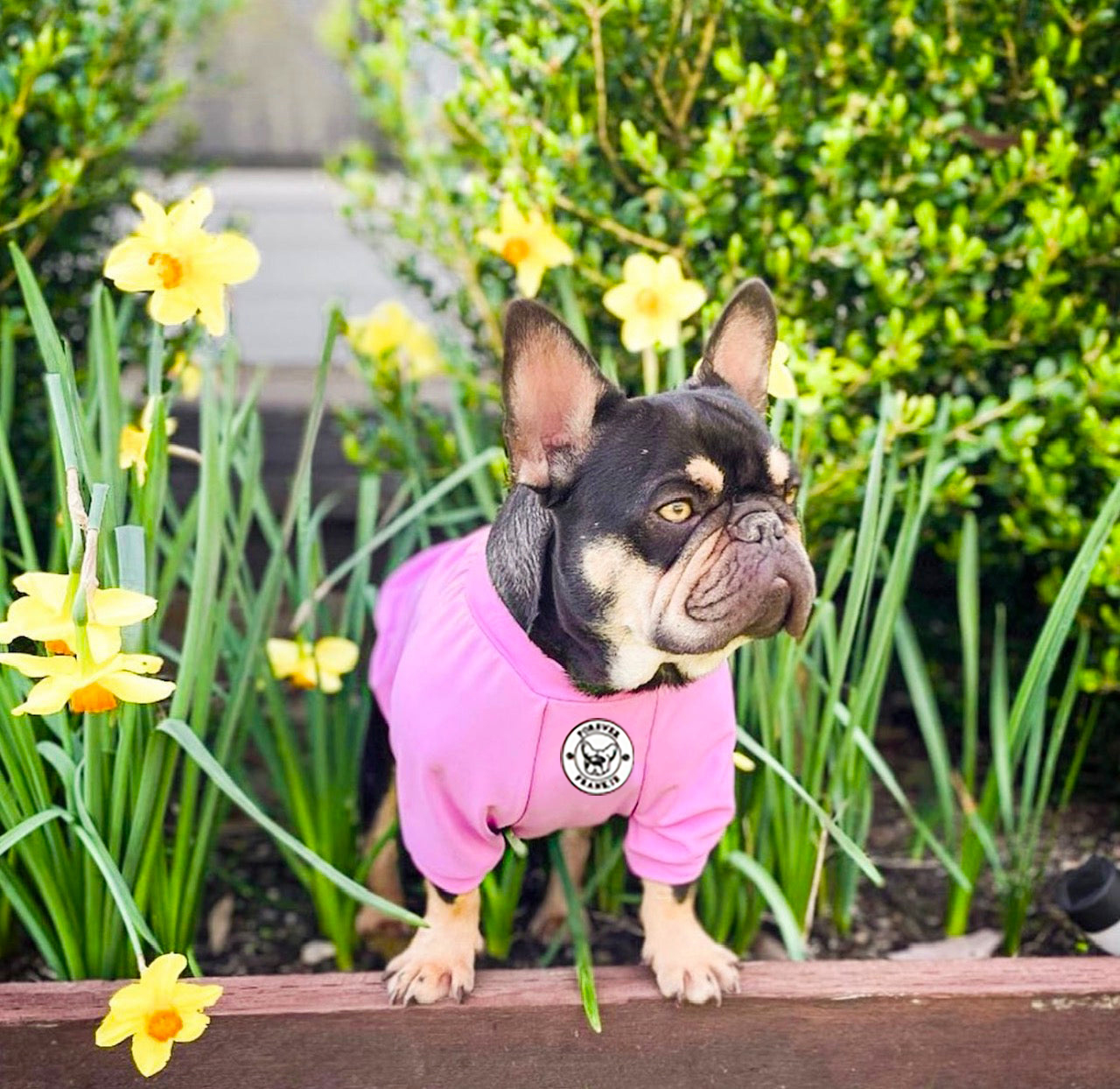 Bubble Gum Blush - Sun & Sand Rashie UV 50+