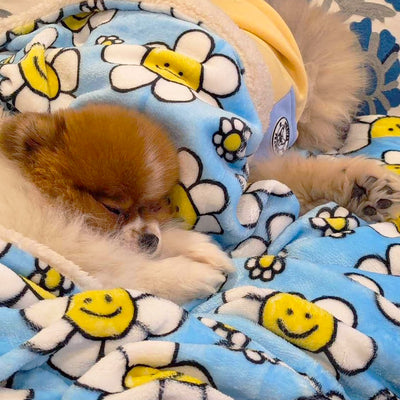 Happy Days - Extra Soft Pet Blanket