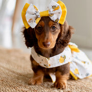 Honey Honey Ruffles Dog Dress