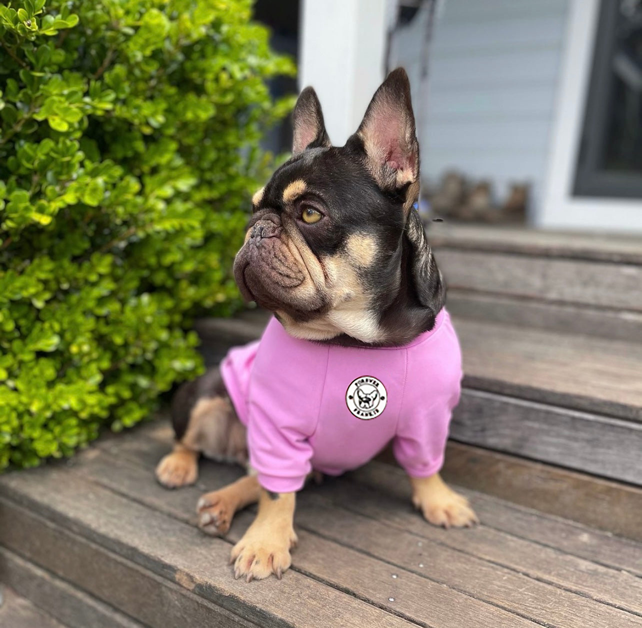 Bubble Gum Blush - Sun & Sand Rashie UV 50+